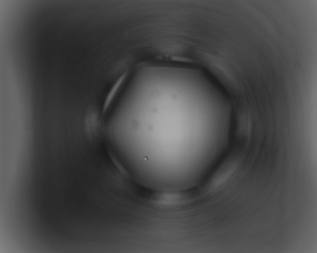 X0000100900575200807081105