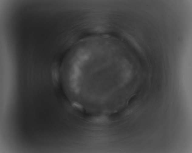 X0000100900576200807081105