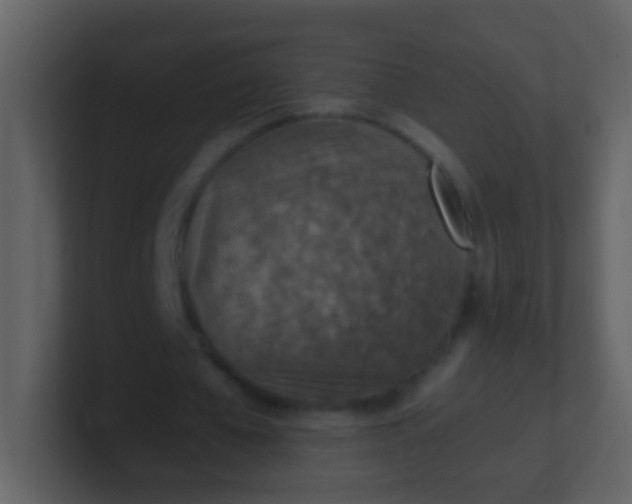 X0000100900577200807081104