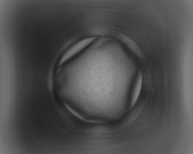 X0000100900578200807081104