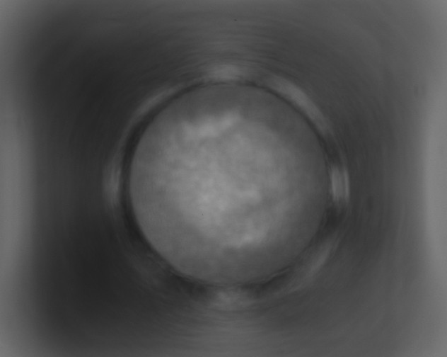 X0000100900579200807081104