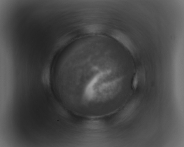 X0000100900581200807081104