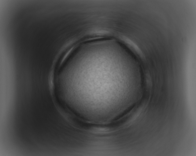 X0000100900582200807081104