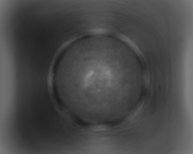 X0000100900583200807081104