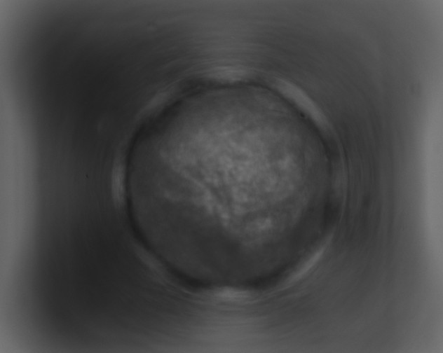 X0000100900585200807081104