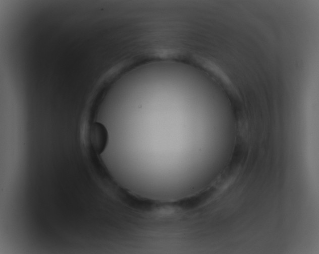 X0000100900587200807081104