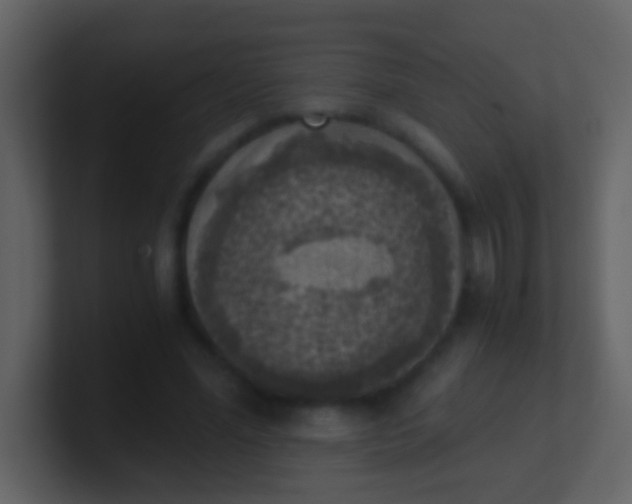 X0000100900588200807081104