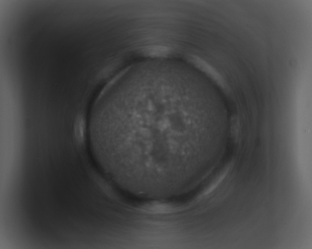 X0000100900589200807081104