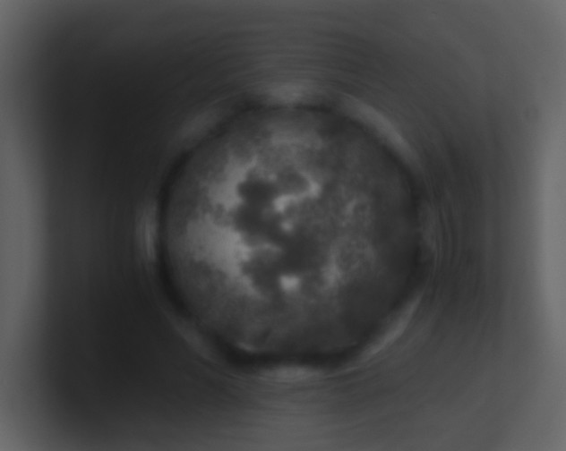 X0000100900590200807081104