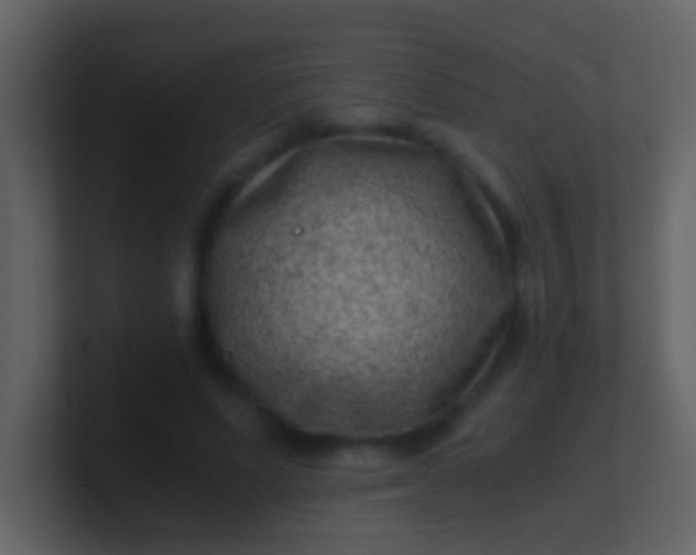 X0000100900591200807081104