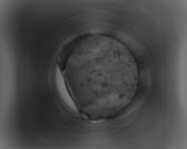 X0000100900592200807081104