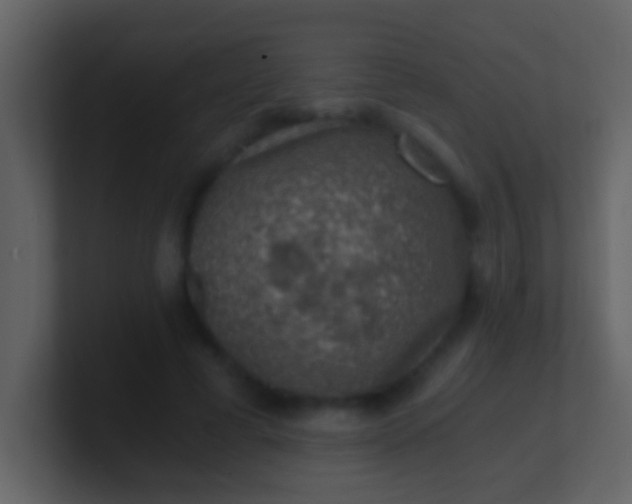 X0000100900593200807081104