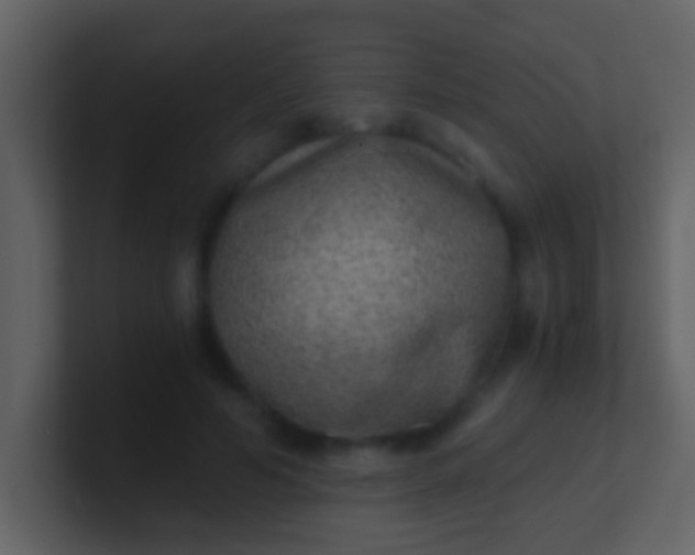 X0000100900594200807081104