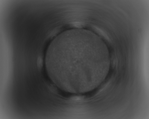 X0000100900595200807081104