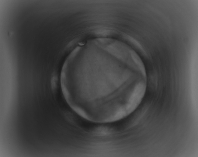 X0000100900596200807081104