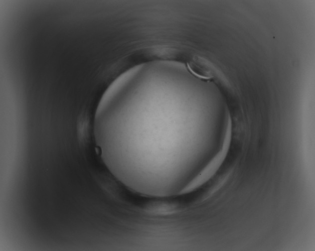 X0000100900597200807081104