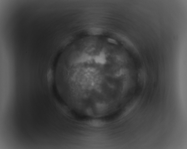 X0000100900598200807081104