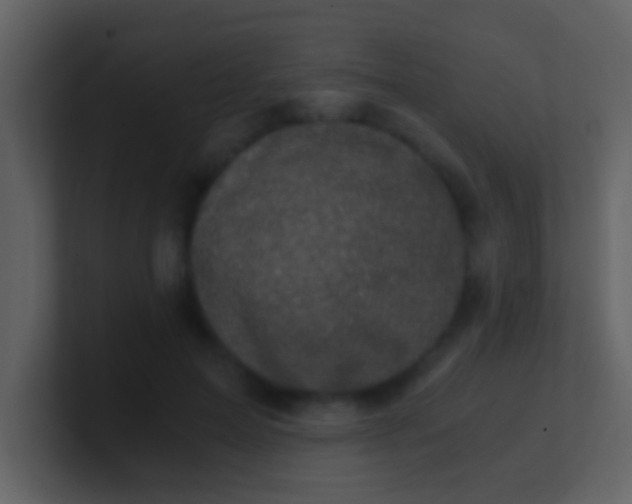 X0000100900599200807081104