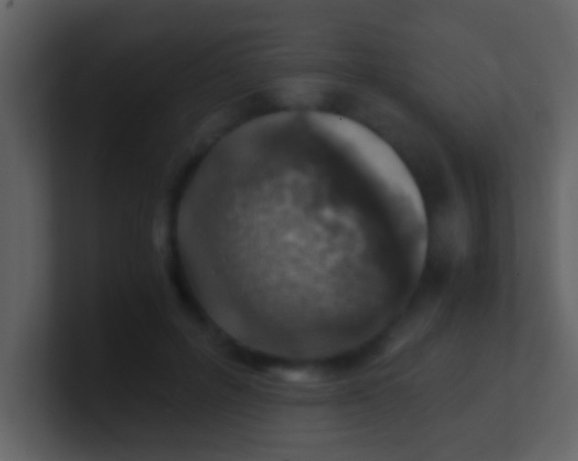 X0000100900600200807081104