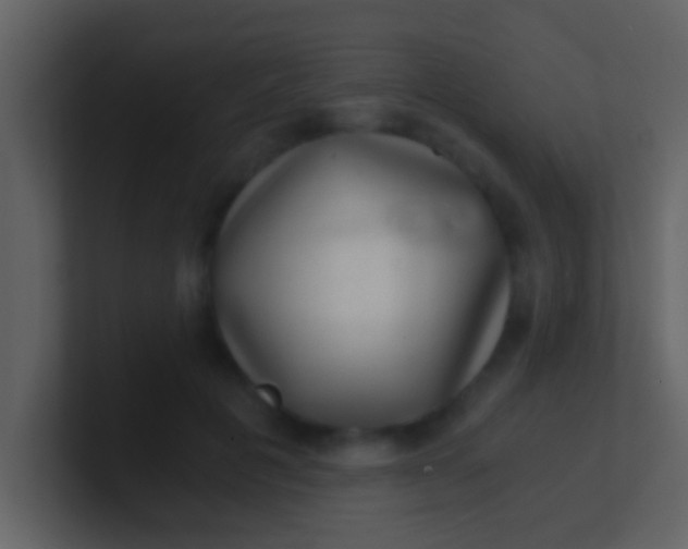 X0000100900601200807081104