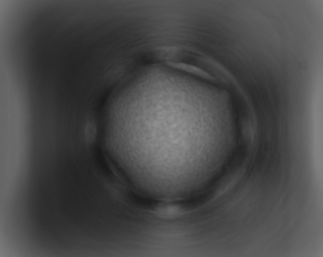 X0000100900602200807081104