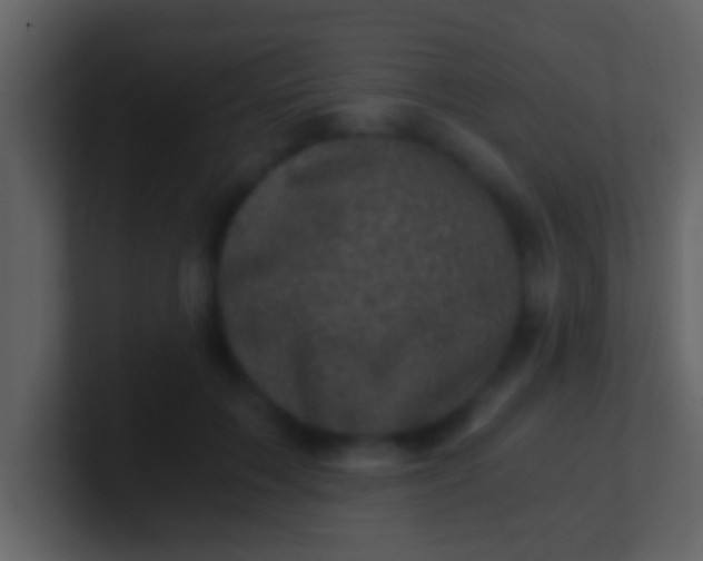 X0000100900603200807081104