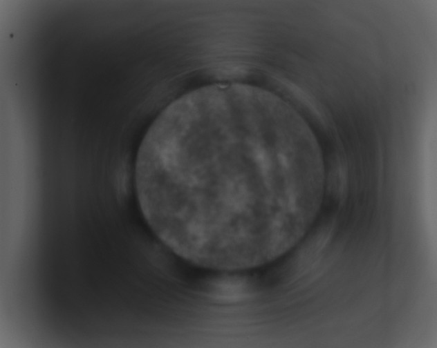 X0000100900604200807081104