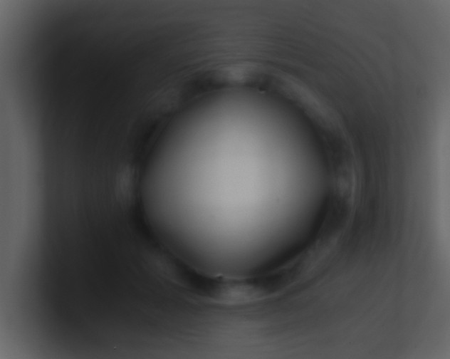 X0000100900605200807081104