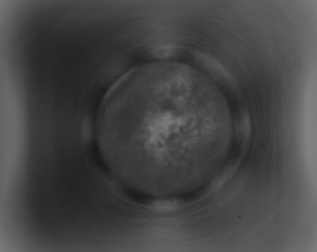 X0000100900606200807081104