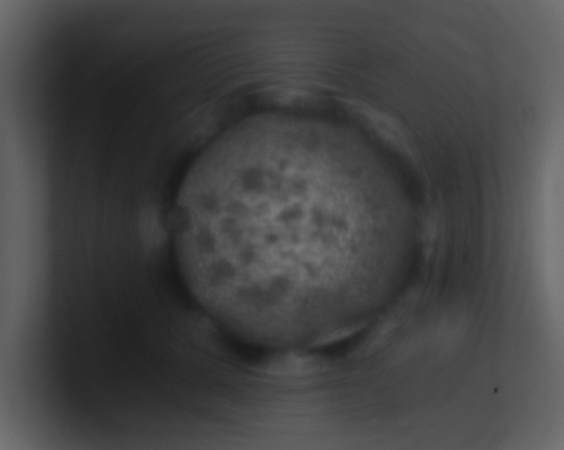 X0000100900607200807081104