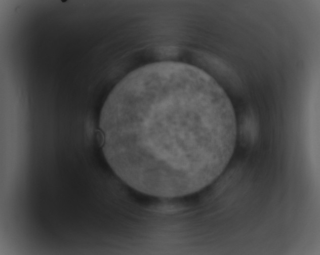 X0000100900608200807081104