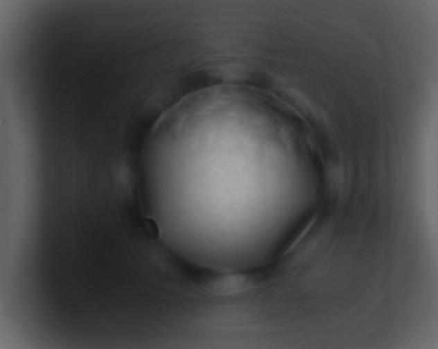 X0000100900609200807081104