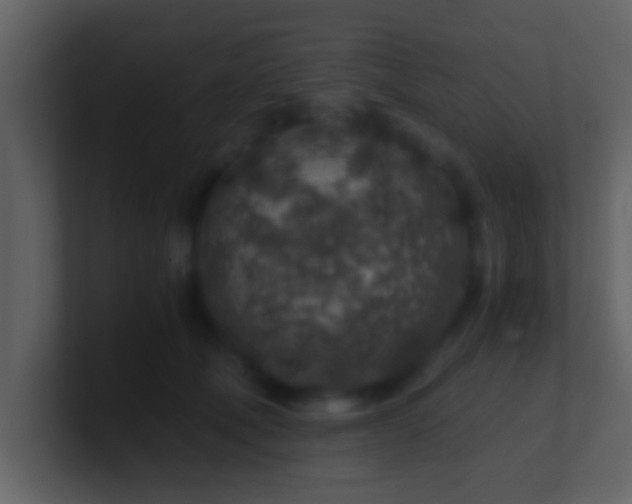 X0000100900610200807081104