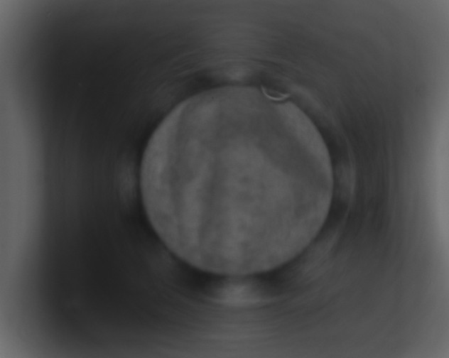 X0000100900612200807081104