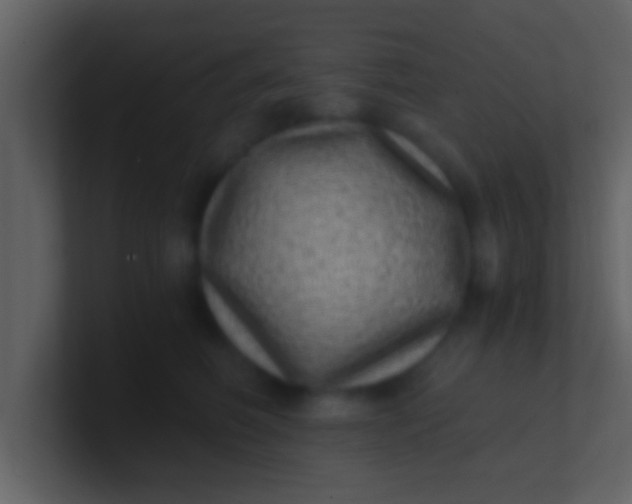 X0000100900614200807081104