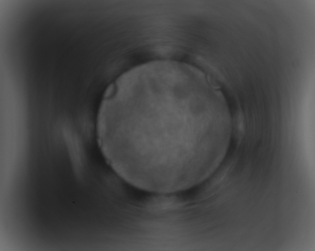 X0000100900615200807081104