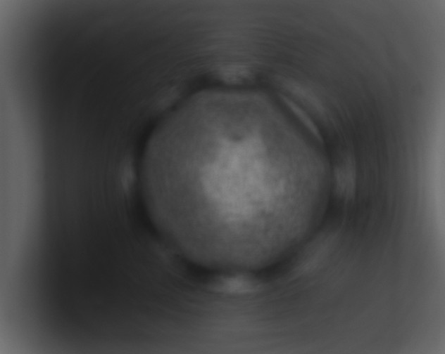 X0000100900618200807081104