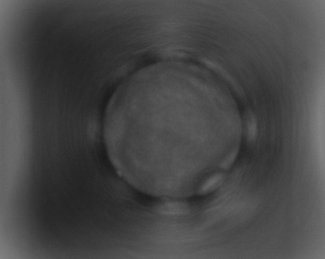 X0000100900619200807081104