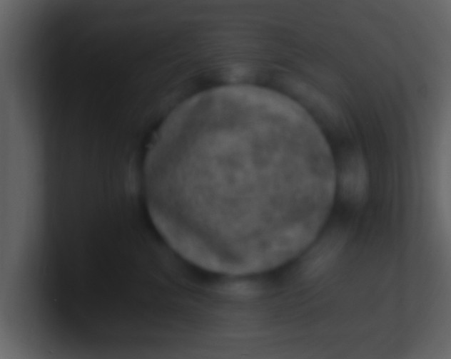 X0000100900620200807081104