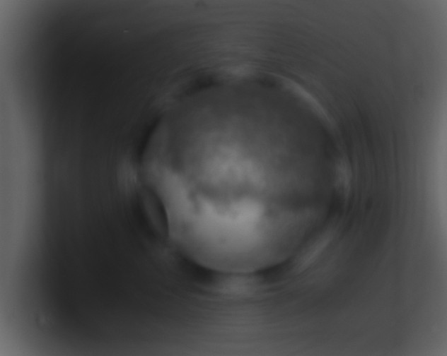 X0000100900621200807081104