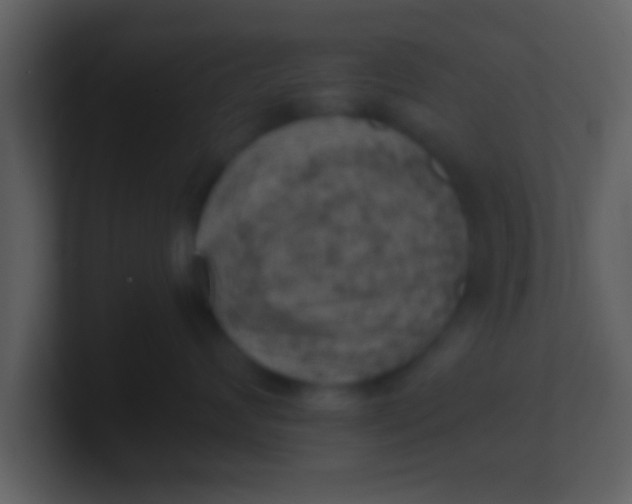 X0000100900624200807081104