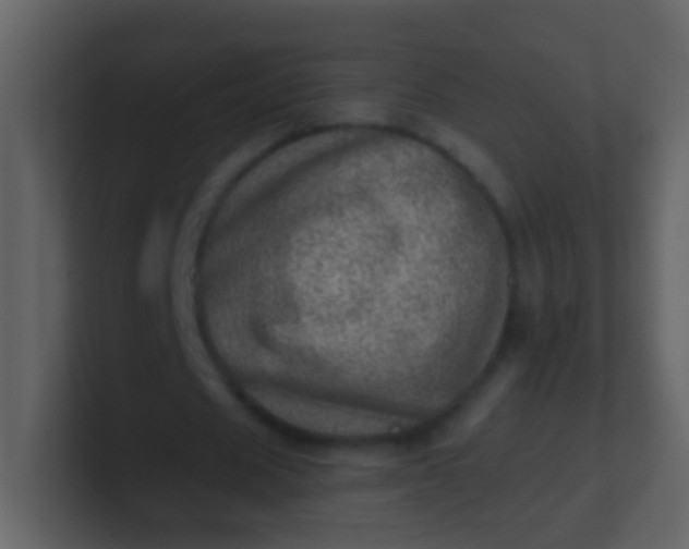 X0000100900625200807081103