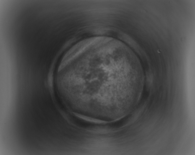 X0000100900626200807081103