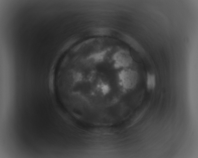 X0000100900627200807081103