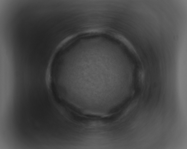 X0000100900628200807081103