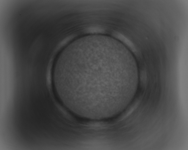 X0000100900629200807081103