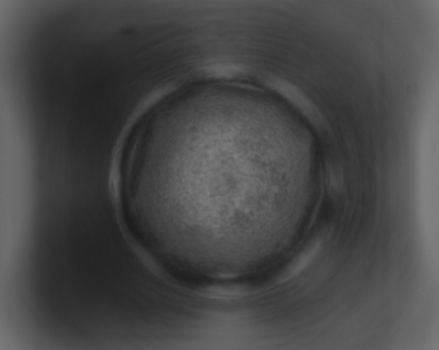 X0000100900630200807081103