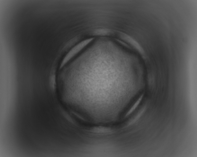 X0000100900633200807081103