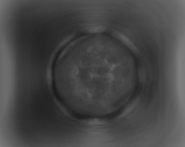 X0000100900634200807081103