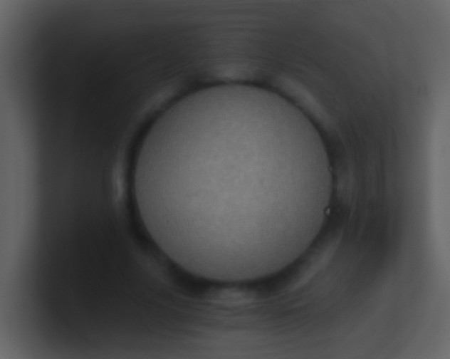 X0000100900635200807081103